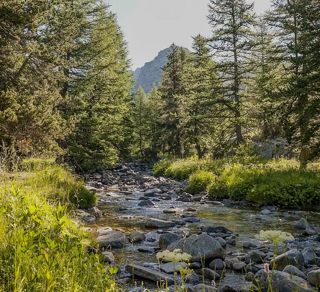 nationaal park mercantour