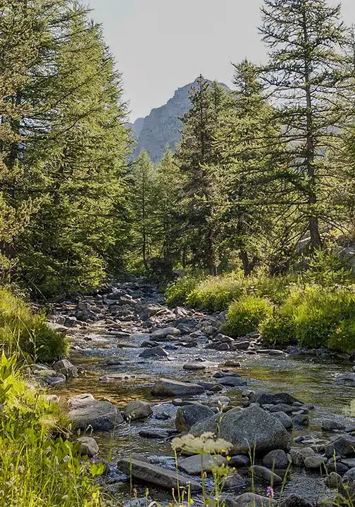 nationaal park mercantour alpes de haute provence